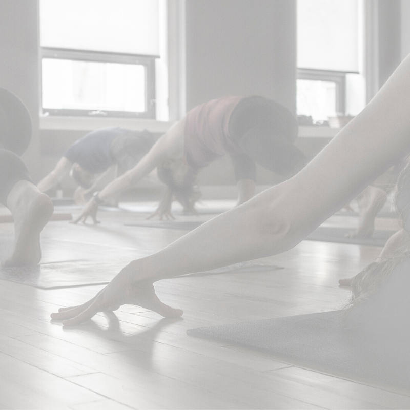 Advanced Vinyasa Teacher Training