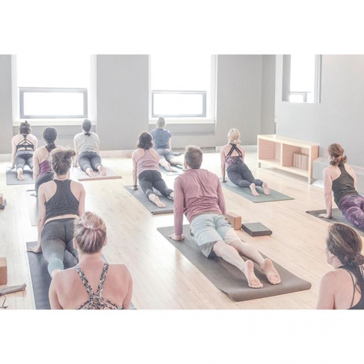 Early bird deadline for our full time Yoga Teacher training closes this Monday! June 1. 🌻⁣
⁣
Space is limited, reserve your spot by using the link in our bio. ⁣
⁣
To find out more about curriculum, dates, schedule head over to yogamala.com

#yo
